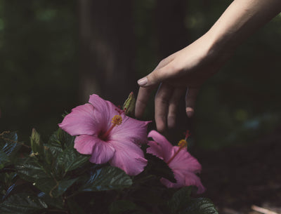 The Importance of Touch: Tactile Magic During Isolation