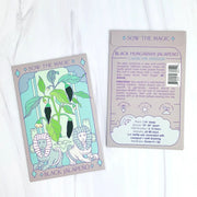 Tarot Garden + Gift Seed Packets