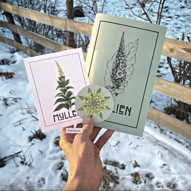 Herbal Zines