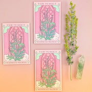 Tarot Garden + Gift Seed Packets