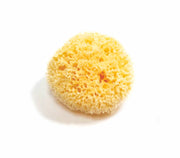 Natural Sea Sponges