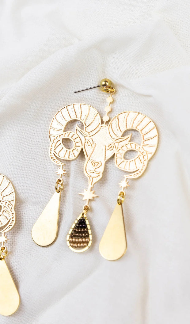 Stunning Zodiac Collection Earrings