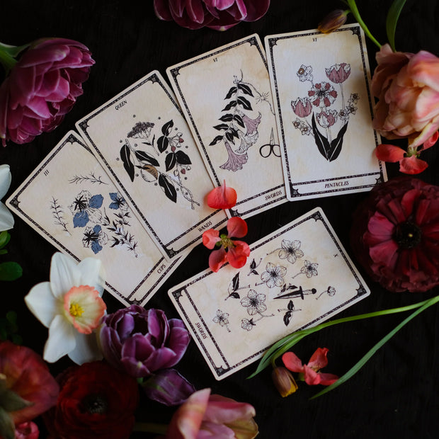 Viola Lux Umbra: Botanical Tarot & Guidebook