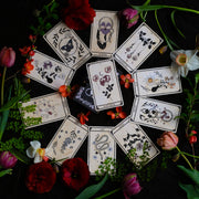 Viola Lux Umbra: Botanical Tarot & Guidebook