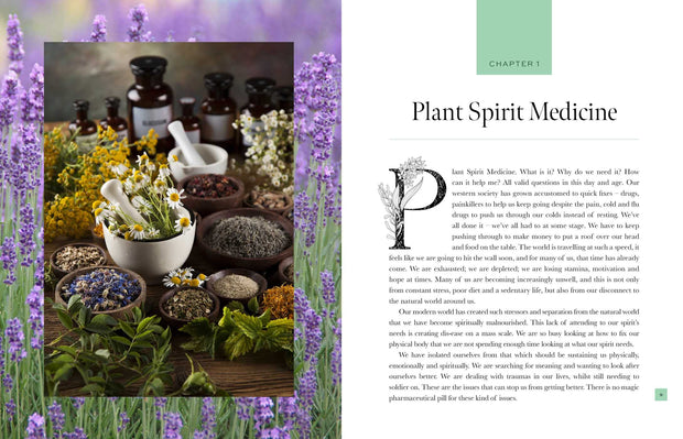 Plant Spirit Medicine: A Guide to Making Healing Products from Nature