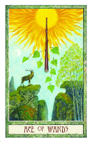 The Druid Craft Tarot Deck