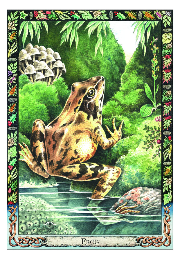 The Druid Animal Oracle Deck