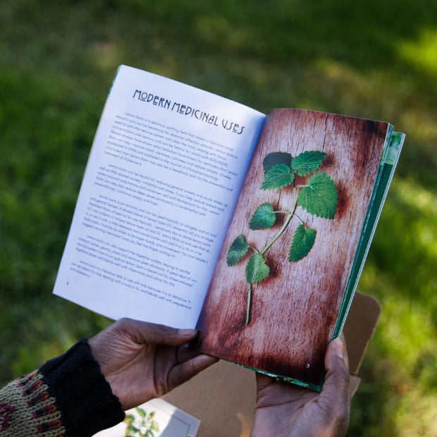 Herbal Zines